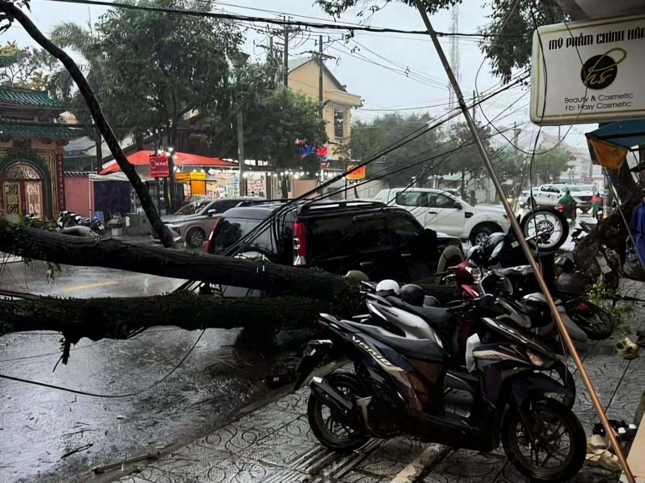 Tàu, phà đi Phú Quốc và Nam Du ngưng hoạt động- Ảnh 2.